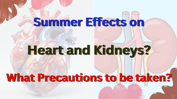 Summer Effects on heart and kidneys? What Precautions to be taken?