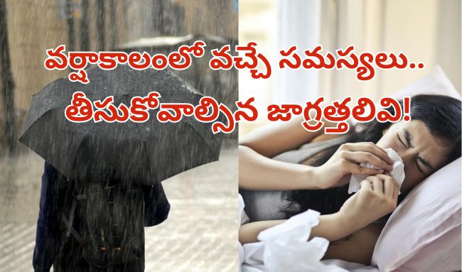 వ‌ర్షాకాలంలో వ‌చ్చే స‌మ‌స్య‌లు.. తీసుకోవాల్సిన జాగ్ర‌త్త‌లివి!